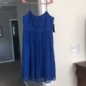 Jones New York new with tags lined sun dress size 14